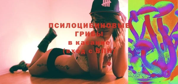 гидра Краснослободск