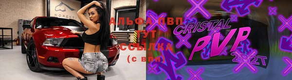 МДПВ Новосибирск