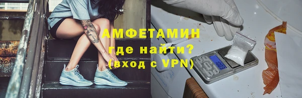 прущие грибы Нестеровская