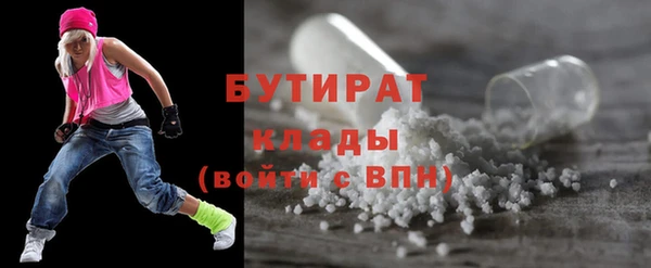 гидра Краснослободск