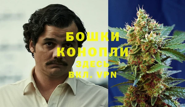 гидра Кукмор