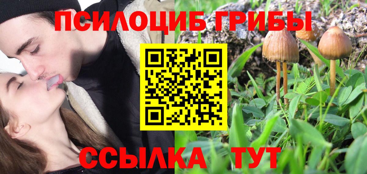 Псилоцибиновые грибы мухоморы  наркошоп  Бийск 
