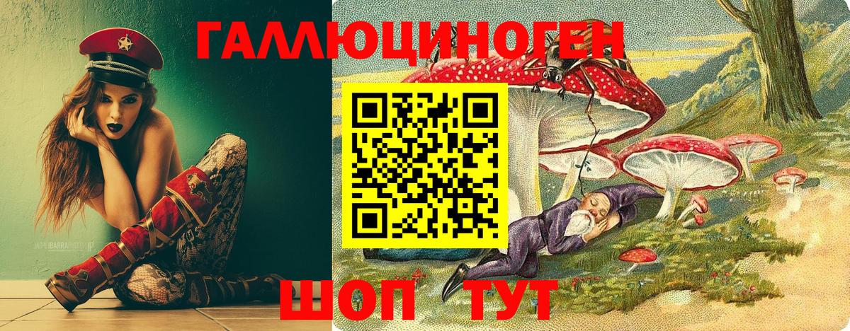 Галлюциногенные грибы Psilocybe Бийск